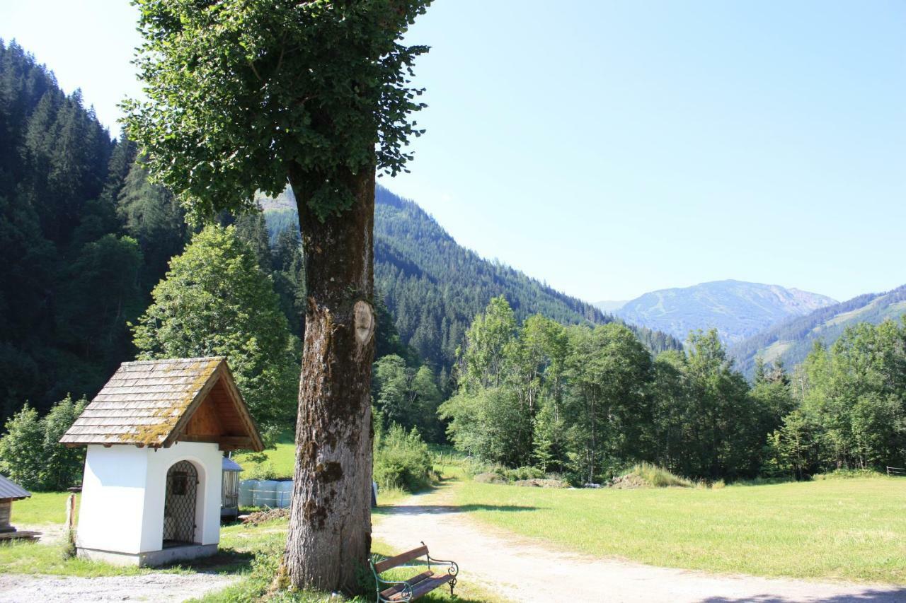 Chalet Ferienhaus Radmer Radmer an der Hasel Esterno foto